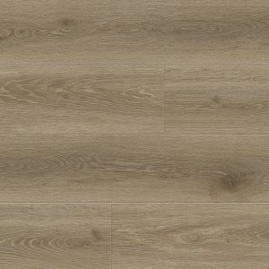 8388 Дуб Бертран_